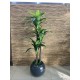 Potted Artificial Tree
