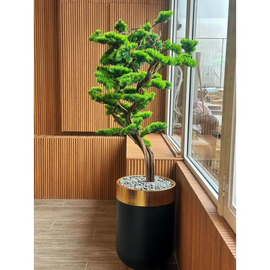 Bonsai