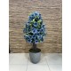 Flowering Trees