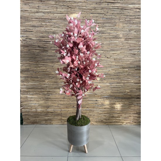 Flowering Trees