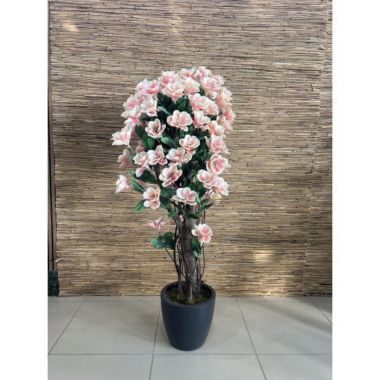 Flowering Trees