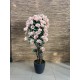 Flowering Trees